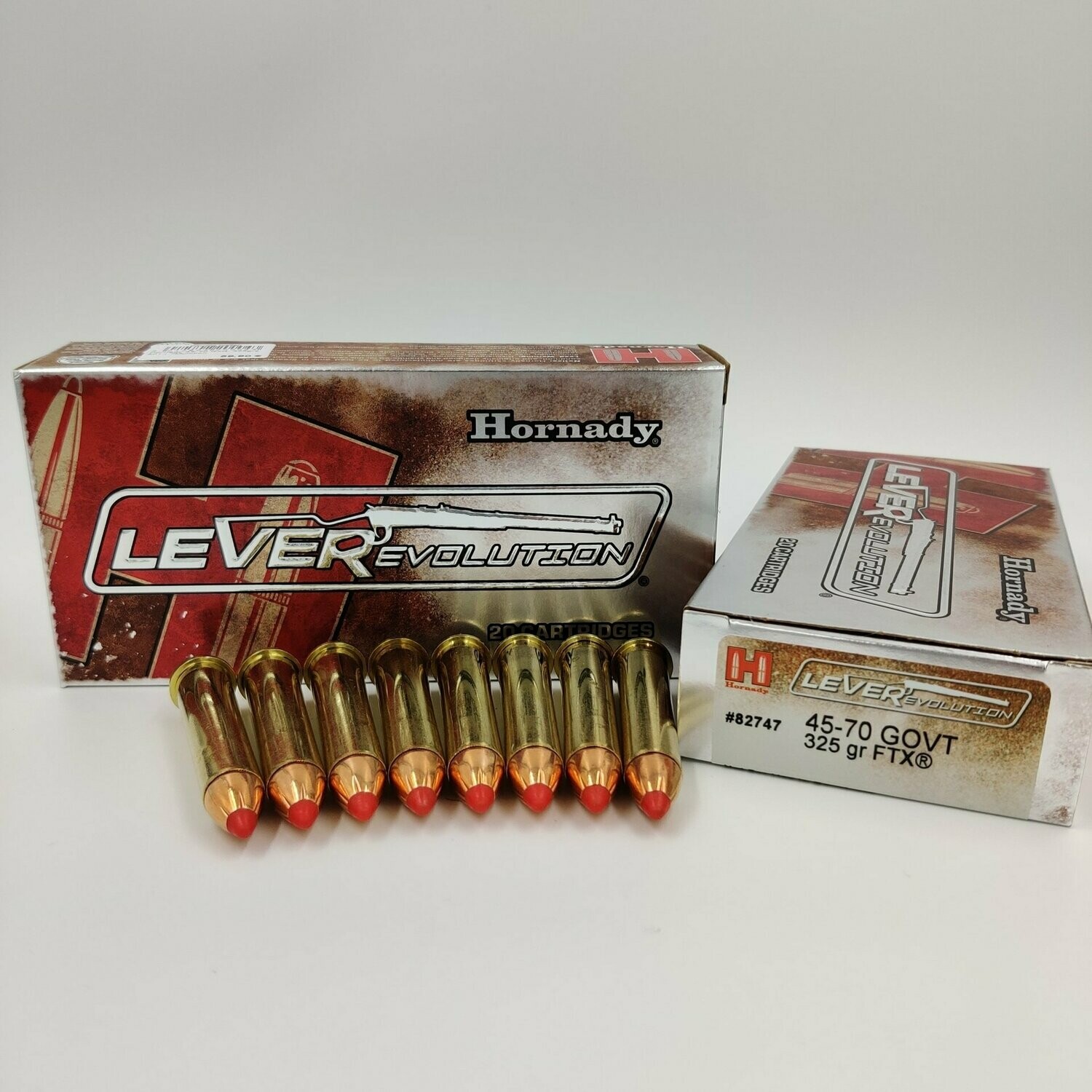 Hornady 45-70 GOVT 325gr FTX