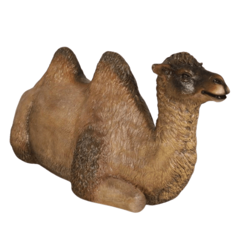 Bactrian Camel