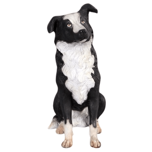 Border Collie Dog Statue-Gel Coat