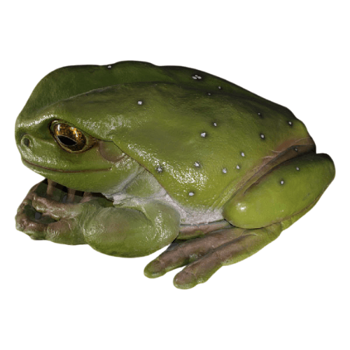 Frog Jumbo Figure