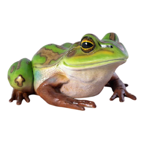 Giant Frog Golden Bell Figure