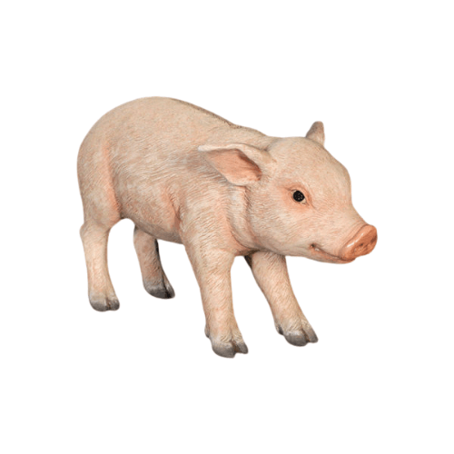 Standing Piglet