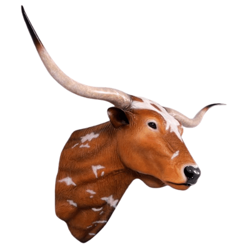Texas Longhorn Head Model