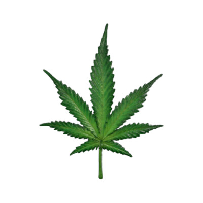 Cannabis Leaf 1m Figure