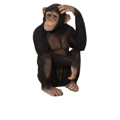 Chimpanzee-Gel Coat Model