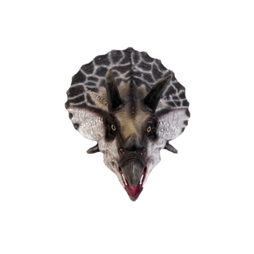 Definitive Triceratops Head