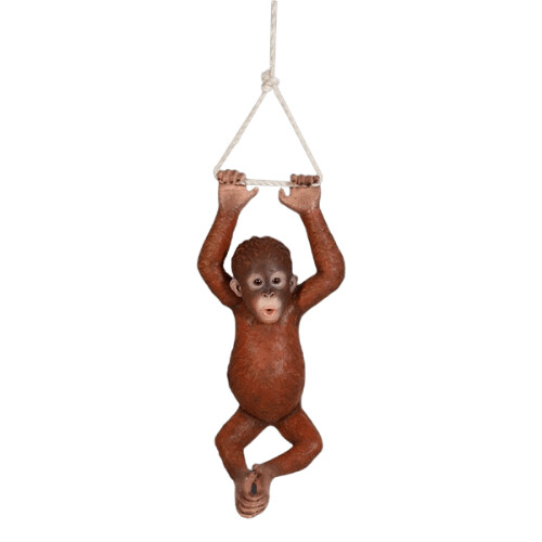 Hanging Baby Orangutan
