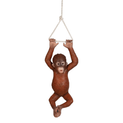 Hanging Baby Orangutan