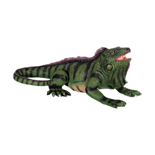 Iguana