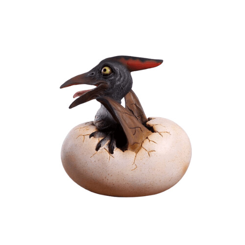 Baby Pteranodon Hatching