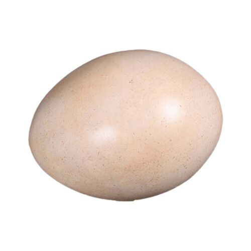 Sauropod Egg 9"