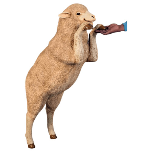 Curious Merino Statue