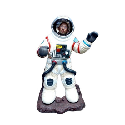 Astronaut Photo Pod