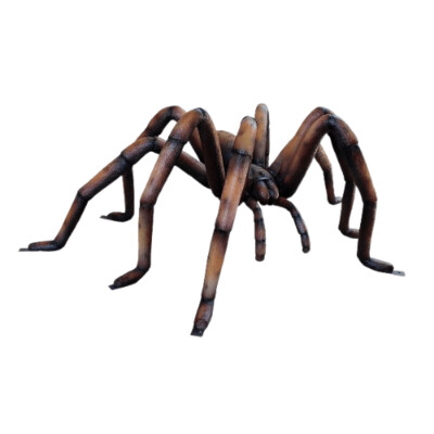 Giant Brown Recluse Spider