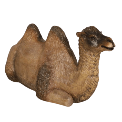 Bactrian Camel