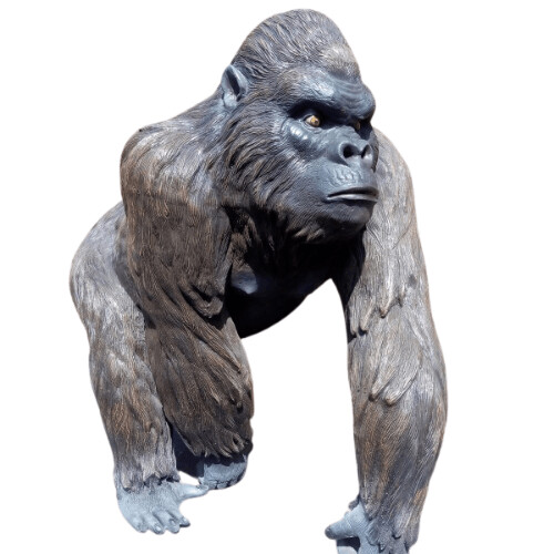 Black Gorilla
