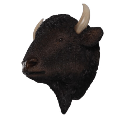 Bison Head Model