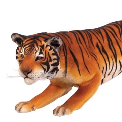 Bengal Tiger-Gel Coat