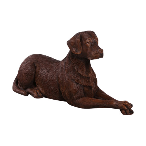 Labrador Dog Lying Chocolate