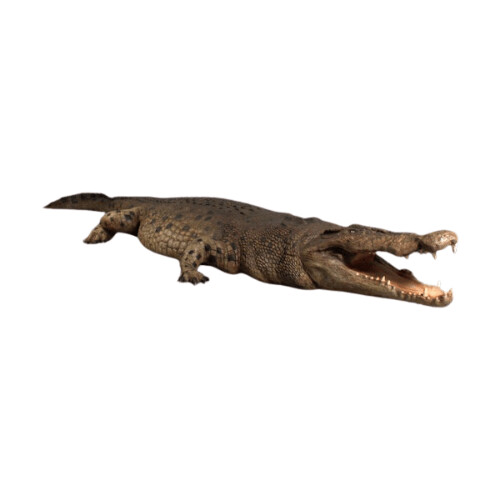 Crocodile 18ft Statue