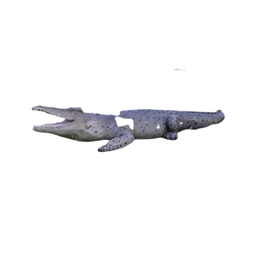 Crocodile 28ft Statue