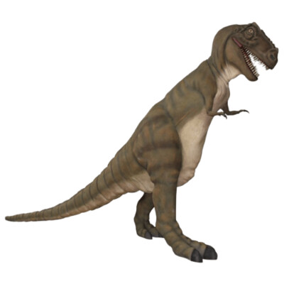T-Rex 11ft