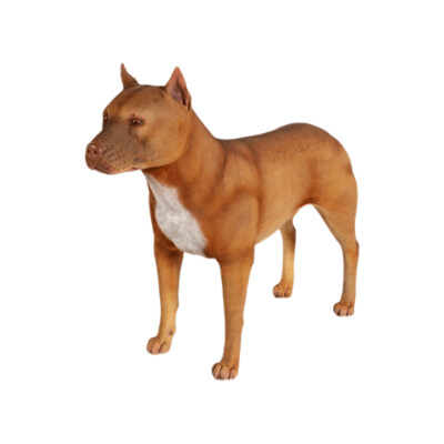 Pit Bull Terrier Dog Statue
