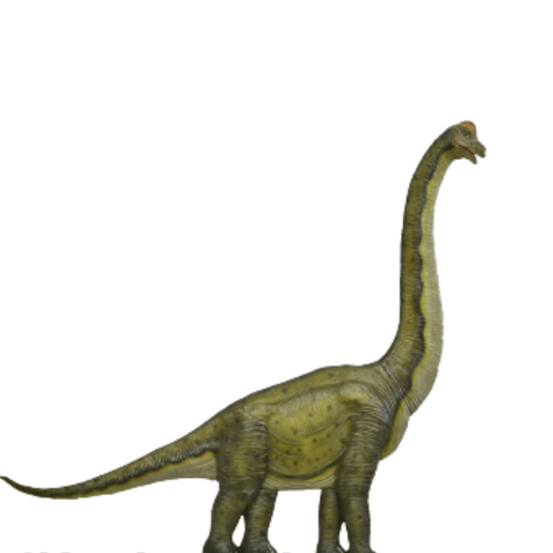 Brachiosaurus Wall Décor