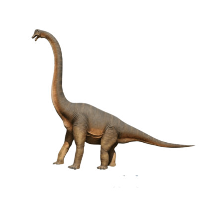 Brachiosaurus 15ft