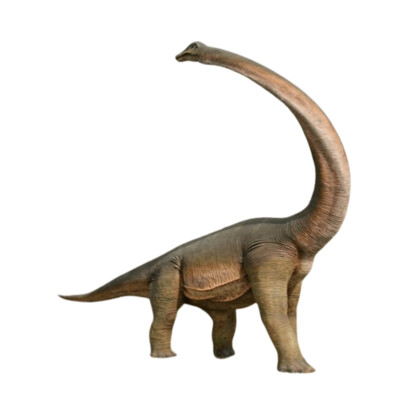 Brachiosaurus-Twisted Neck