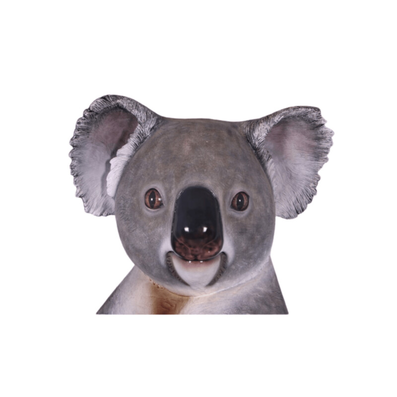 Cuddle The Koala