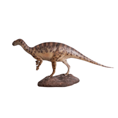 Definitive Iguanodont