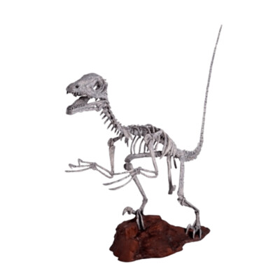 Deinonychus Skeleton