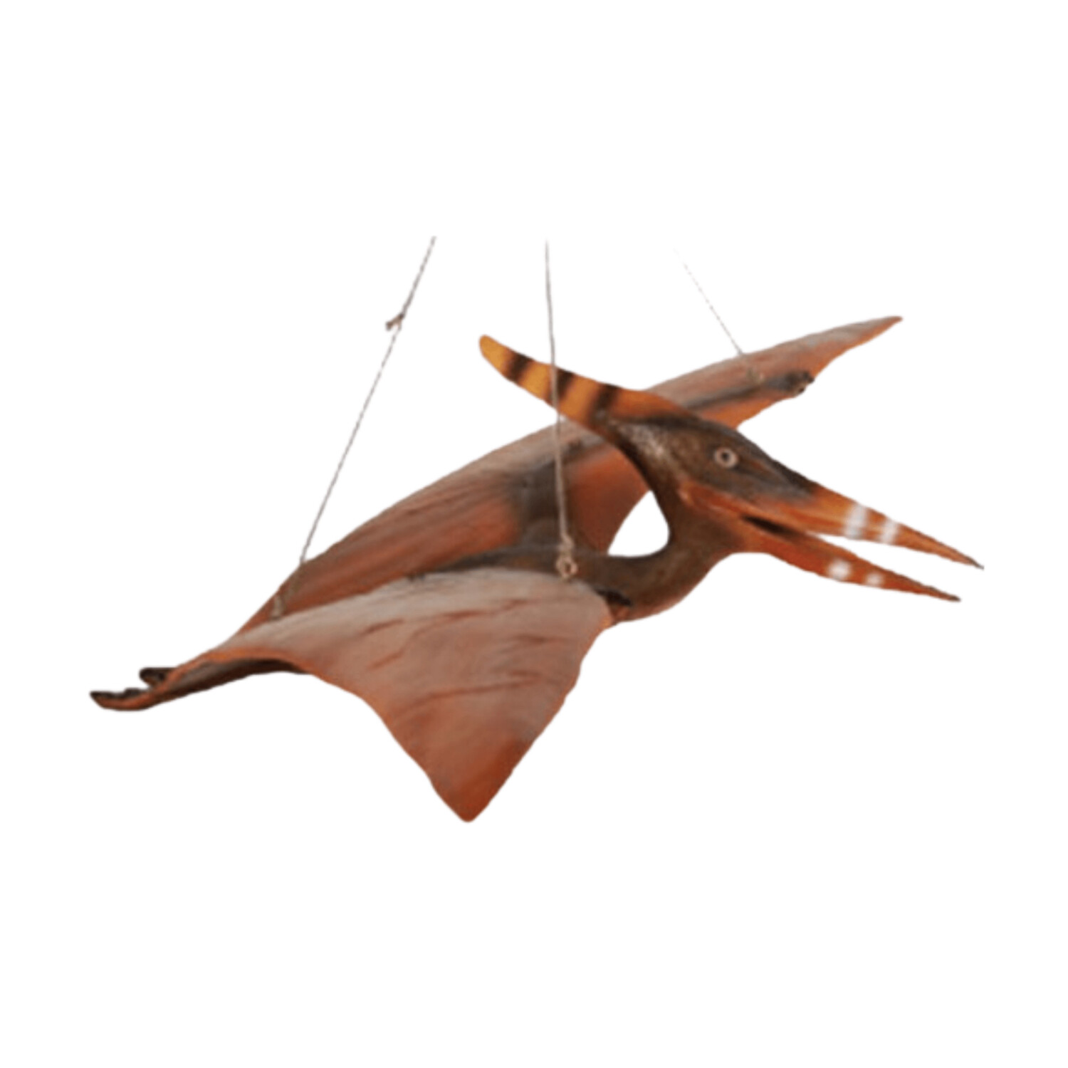 Definitive Pteranodon Gel Coat