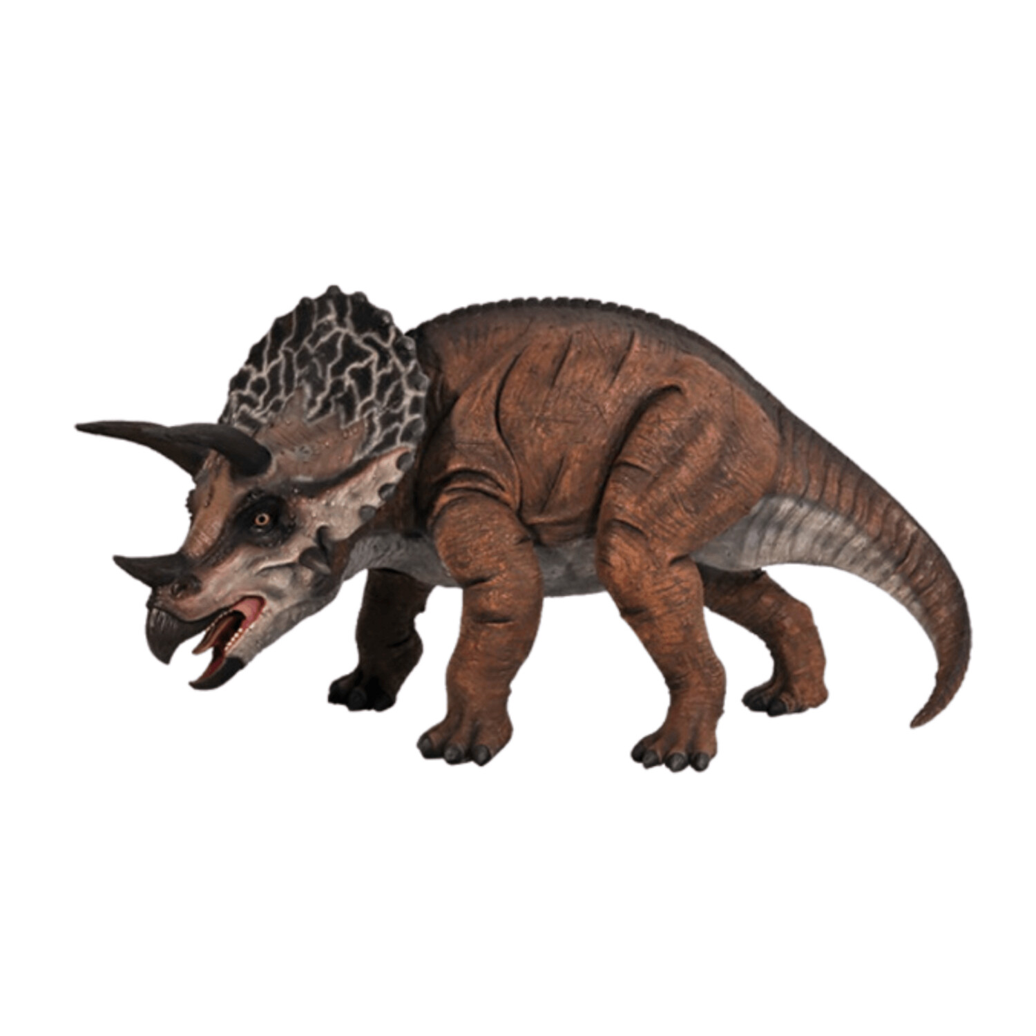 Definitive Triceratops-Gel Coat