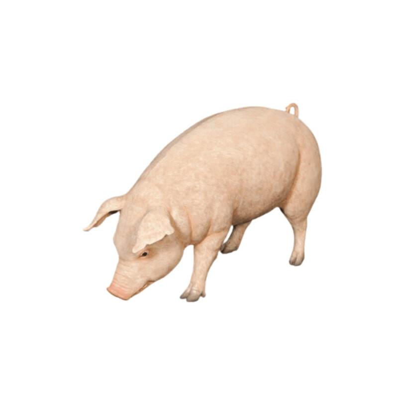 Pig Standing Statue