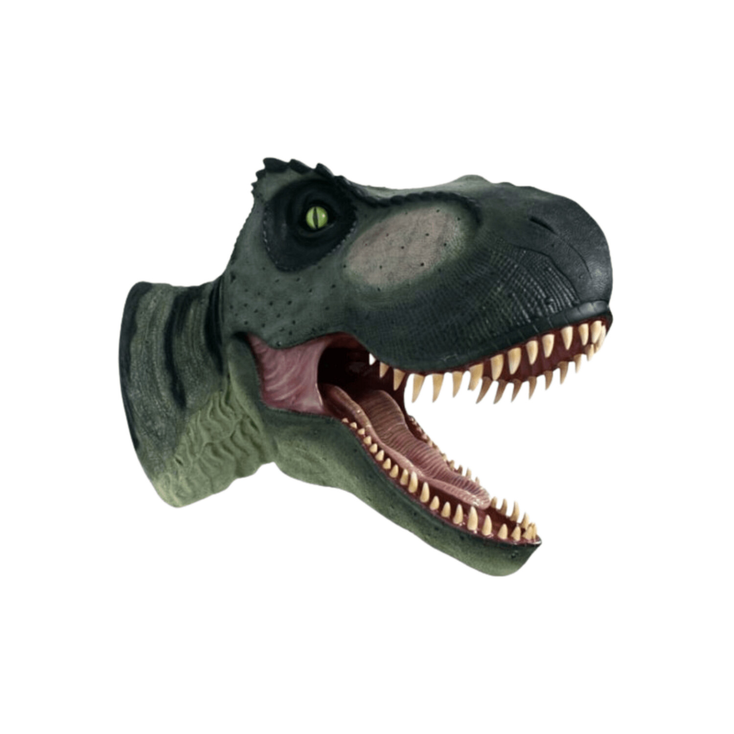 Giant T-Rex Head - Right-Gel Coat