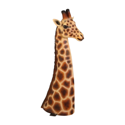 Giraffe Head