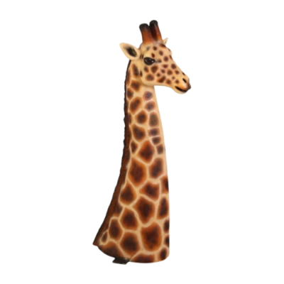 Giraffe Head