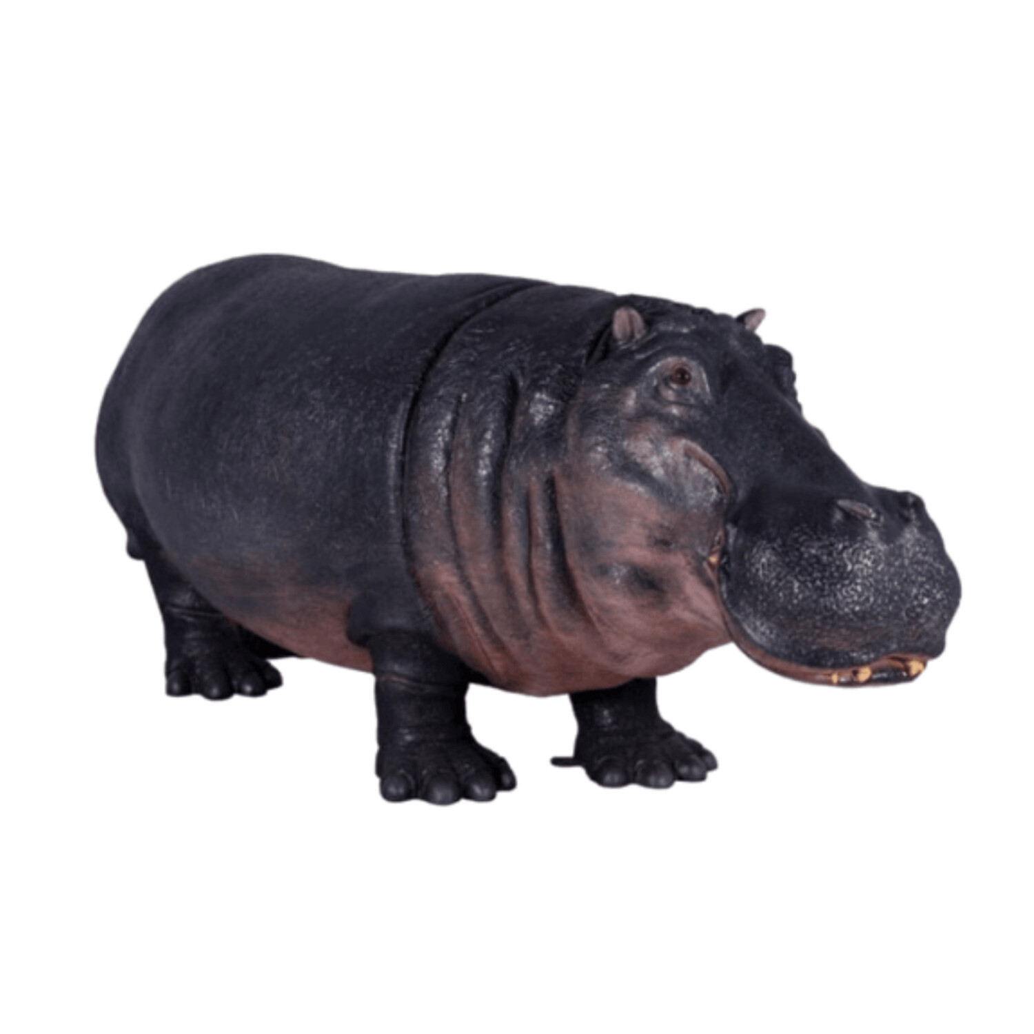 Hippopotamus-Gel Coat