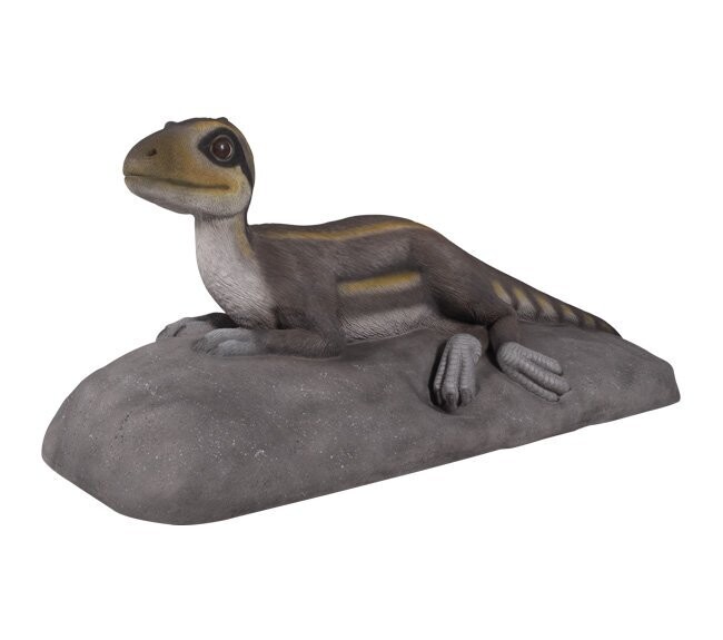 Juvenile Theropod Laying-Gel Coat