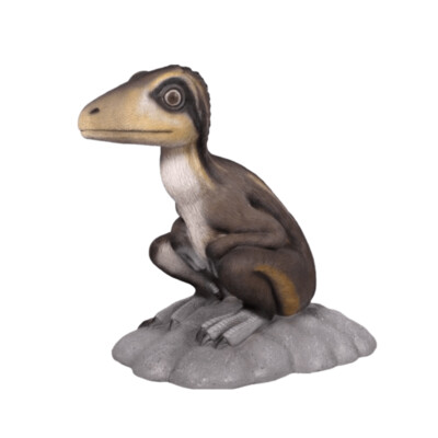 Juvenile Theropod Sitting-Gel Coat