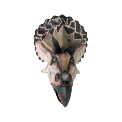 Large Triceratops Head