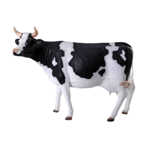 Cow Head-Up