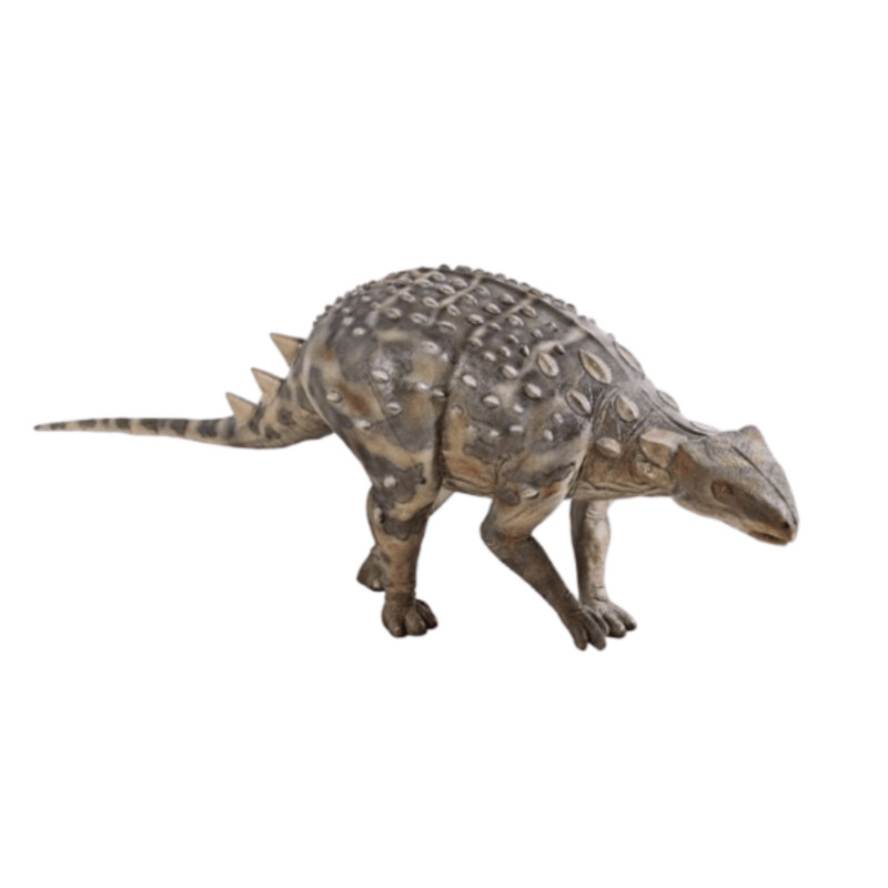 Minmi Ankylosaur