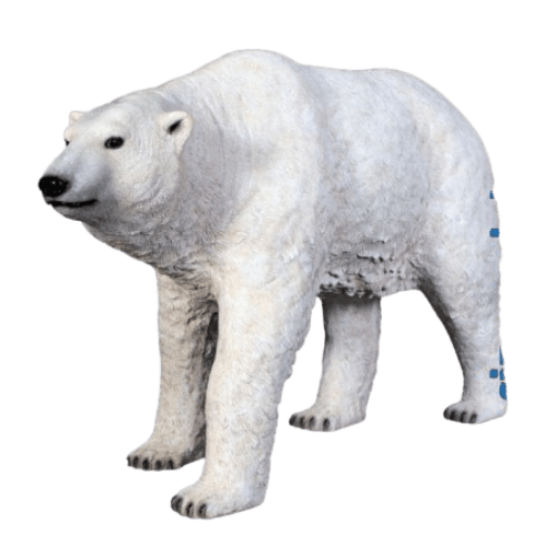 Polar Bear Walking