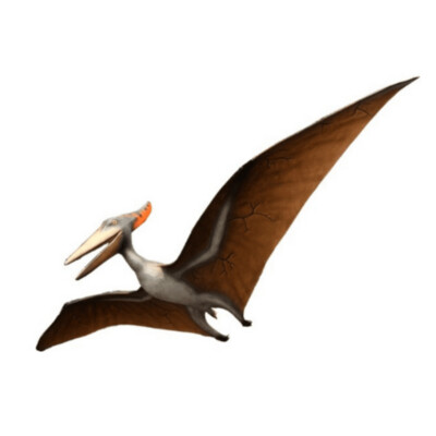Pteranodon 10ft (Gel Coat)