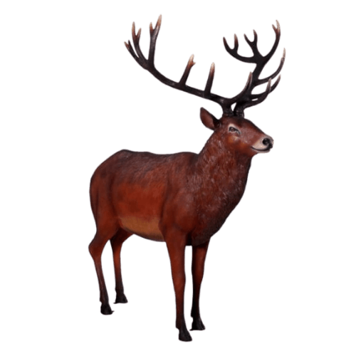 Red Stag