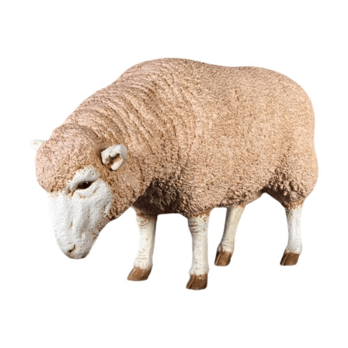 Merino Ewe Head Down Statue