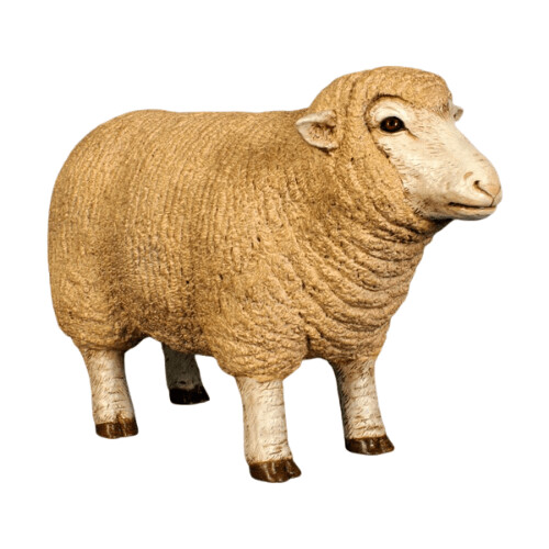 Merino Ewe Head Up (Small)